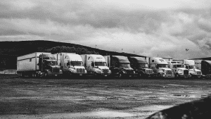 trucks lined up in winter